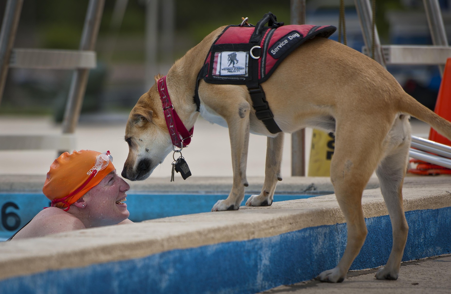 swimmer-802890_1920.jpg