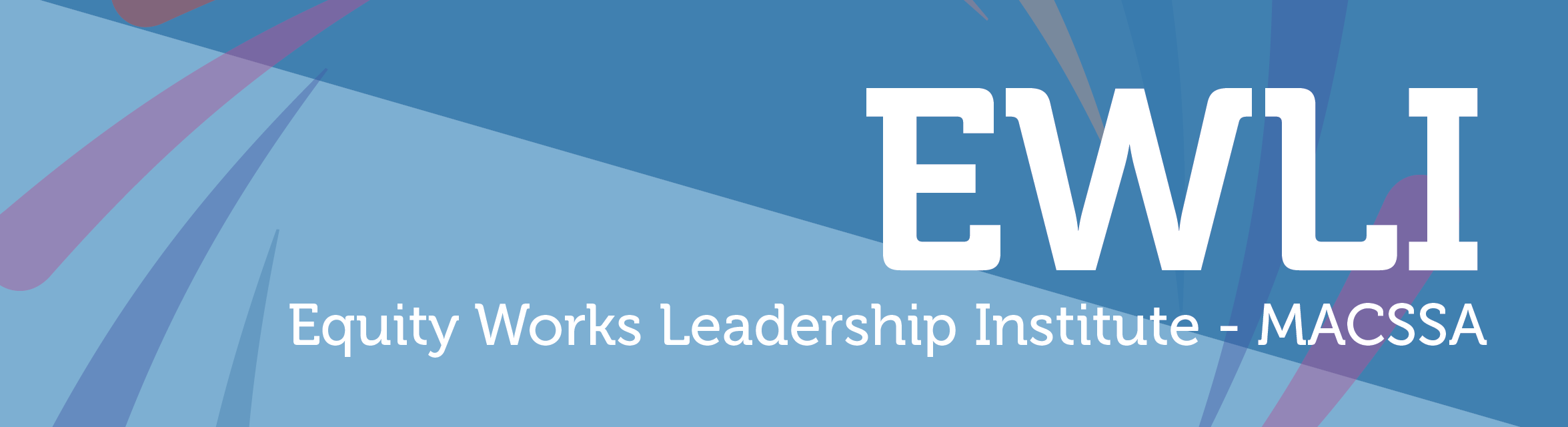 Banner - Equity Works Leadership Inst MACSSA.png