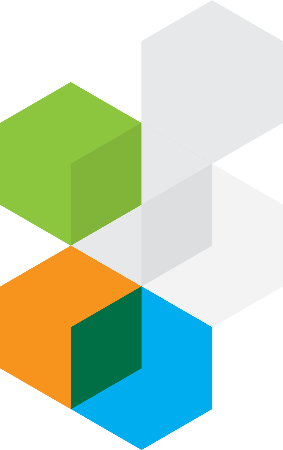 hexagon trims-06.png